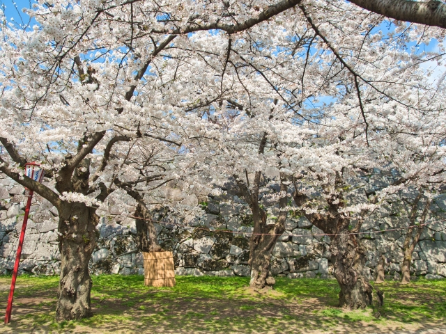 岩手公園